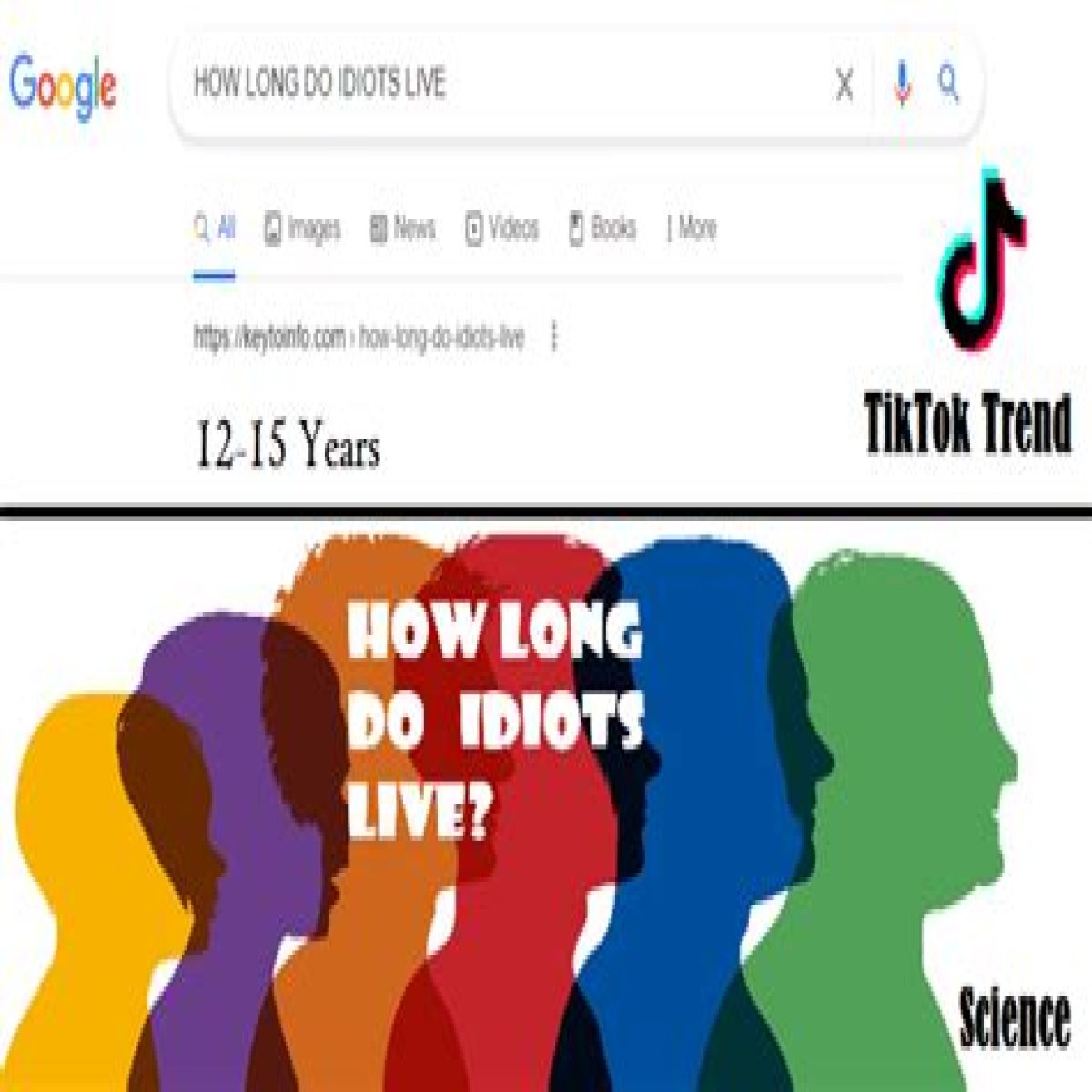HTML